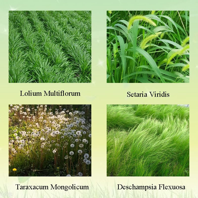 product-350-350 Application