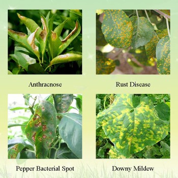 Application Application