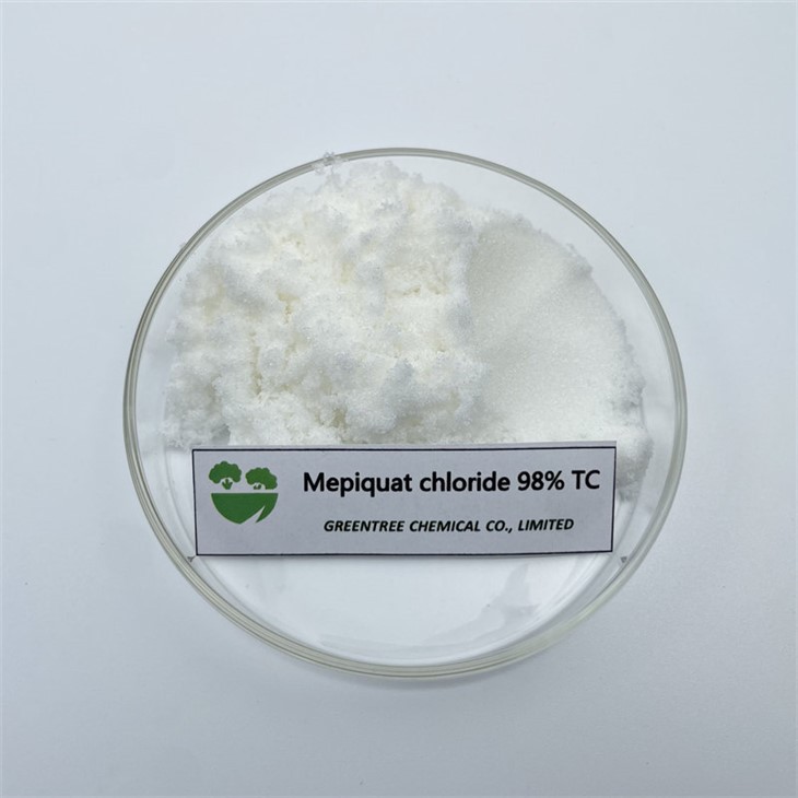 CAS 24307-26-4 98% Plant Growth Regulator Mepiquat Chloride