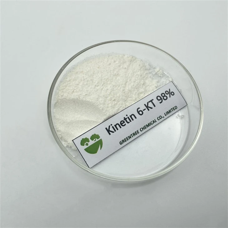 CAS NO. 525-79-1 Plant Growth Regulator Kinetin 99% 1kg/bag