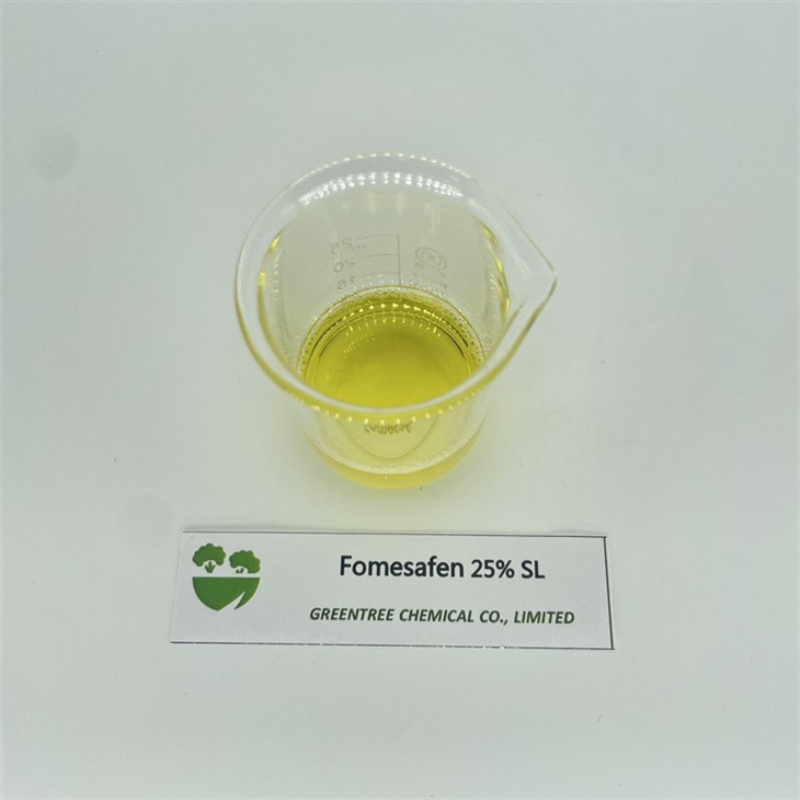 Herbicid Fomesafen 250g/l SL Weedicide For Soybean Field