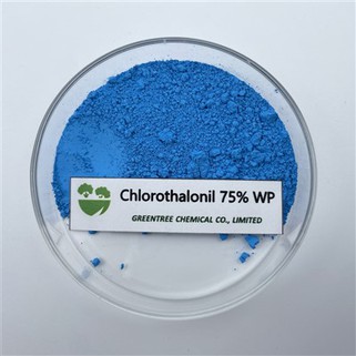 C8Cl4N2 Klorotalonil 75% wp poljoprivredne kemikalije fungicid