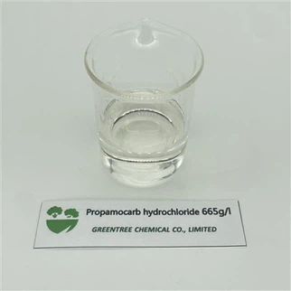 C9H21ClN2O2 665G/L SL Propamokarb hidroklorid fungicid