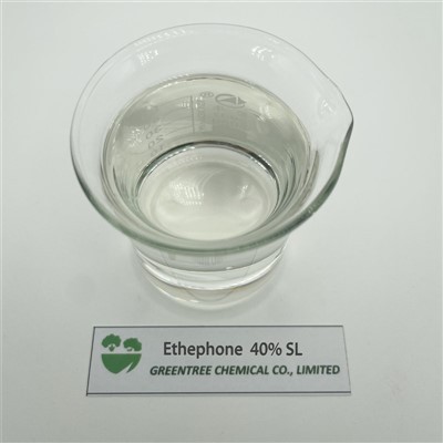 Regulator rasta biljaka Ethephon 480g/L Tc 16672-87-0 Ethephon