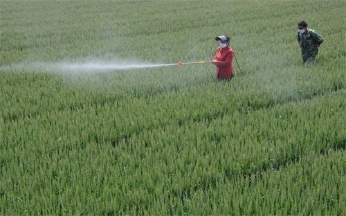 flonicamid applications flonicamid applications